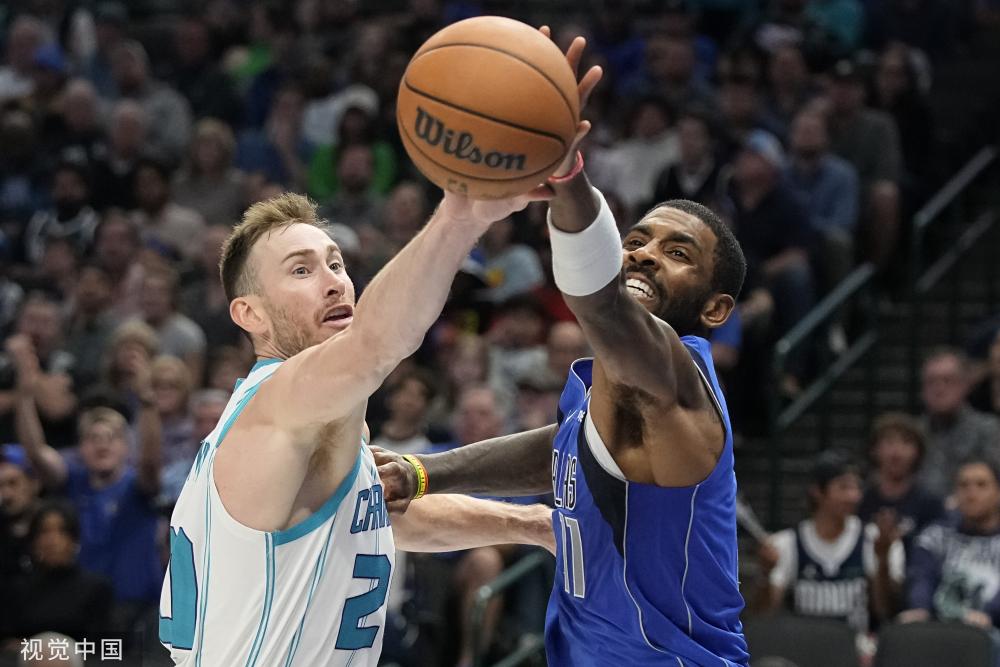 专家分析及 专家分析及